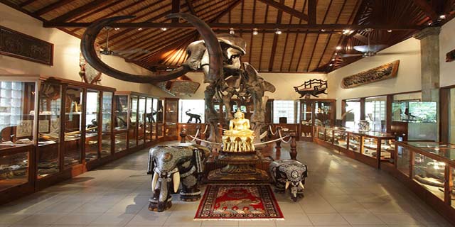 You are currently viewing Bali Museum