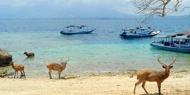 You are currently viewing West Bali National Park