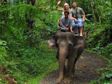 Elephant Ride & Uluwatu Tour
