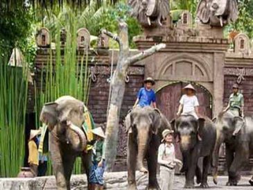 Safari Park & Kintamani Tour